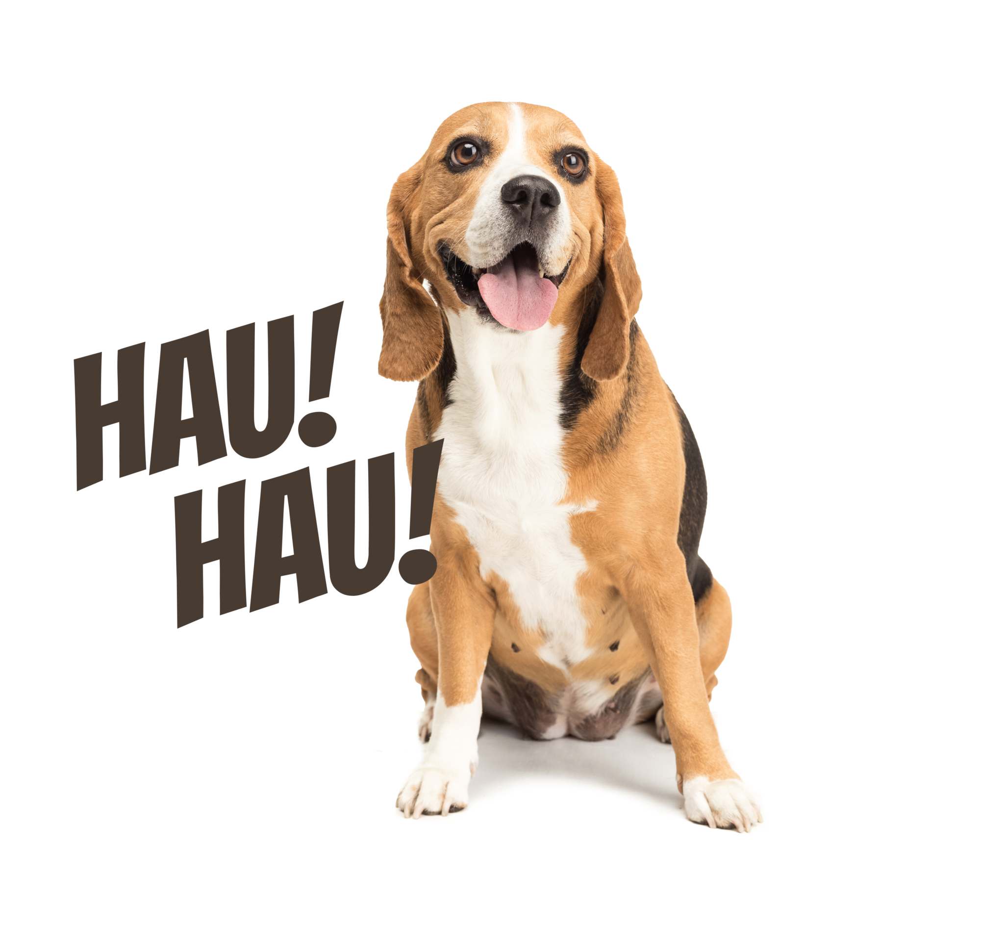 Hau Hau with dog