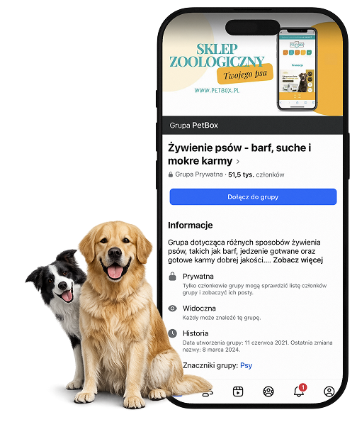 zdjęcie telefonu z grupą facebookową, obok dwa psy