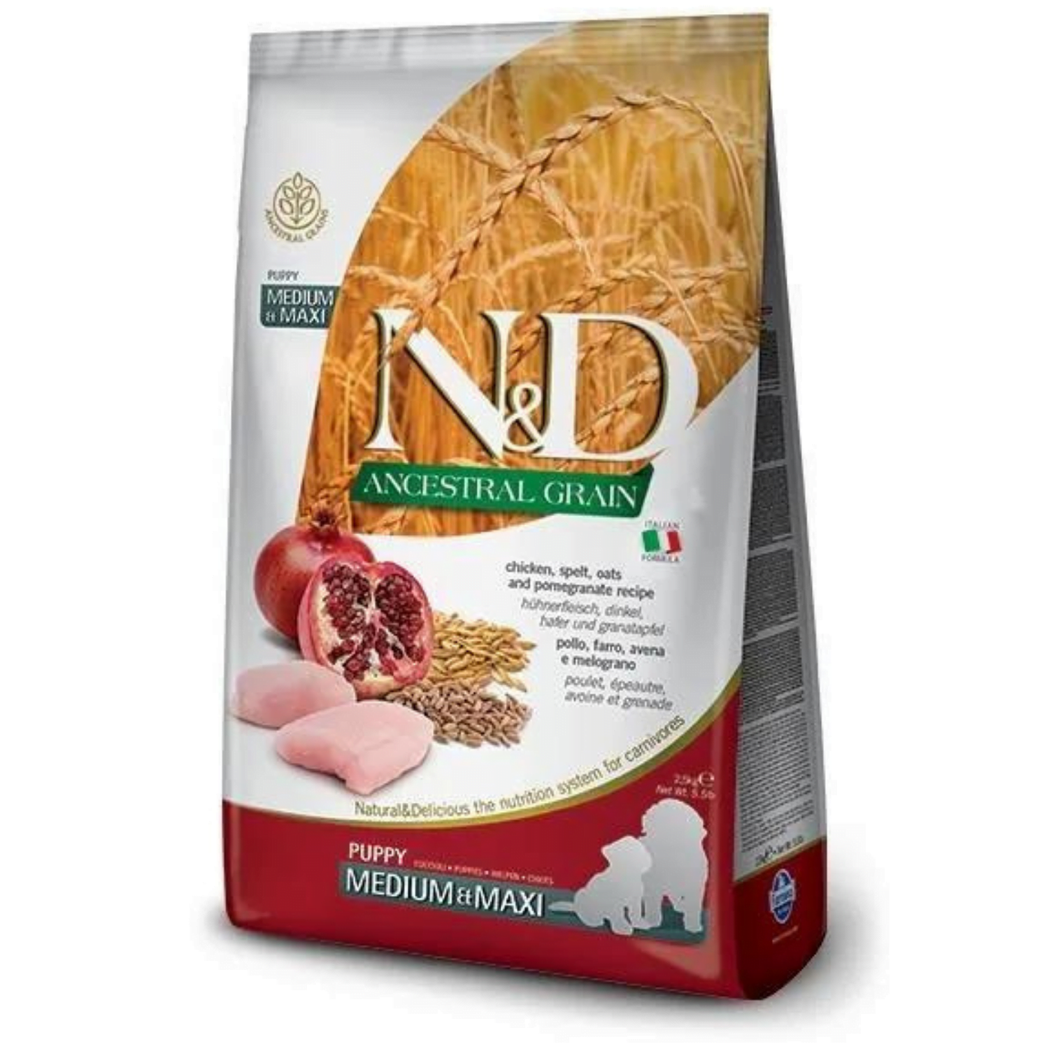 N&D ancestral Grain Chicken Pomegranate Puppy Medium & Maxi