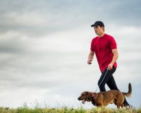 Czym jest Canicrossing i co warto wiedzieć o bieganiu z psem?