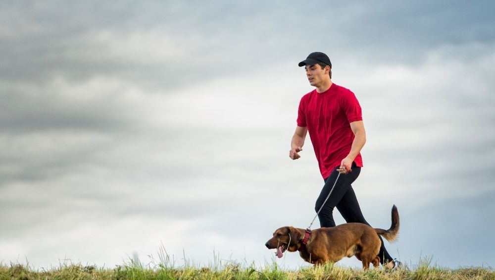Czym jest Canicrossing i co warto wiedzieć o bieganiu z psem?